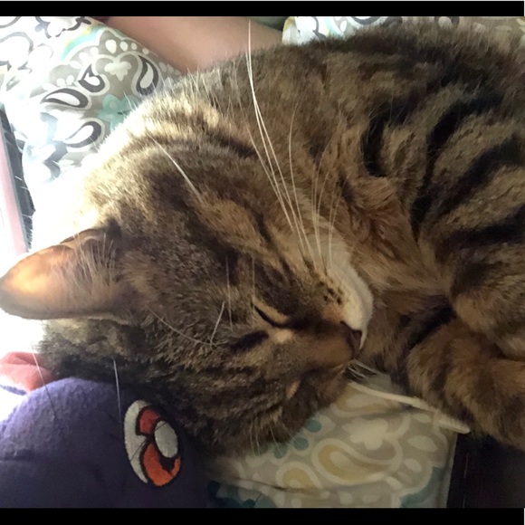 Meet your Posher, Abigail - Picture 1 of 1